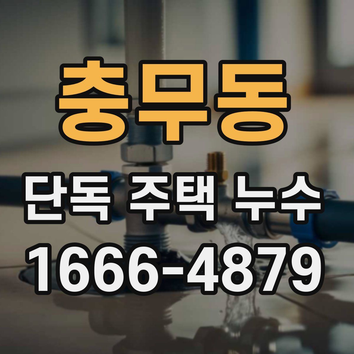 충무동 단독 주택 누수