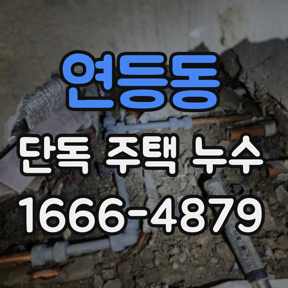 연등동 단독 주택 누수