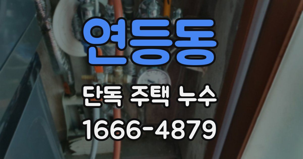 연등동 단독 주택 누수