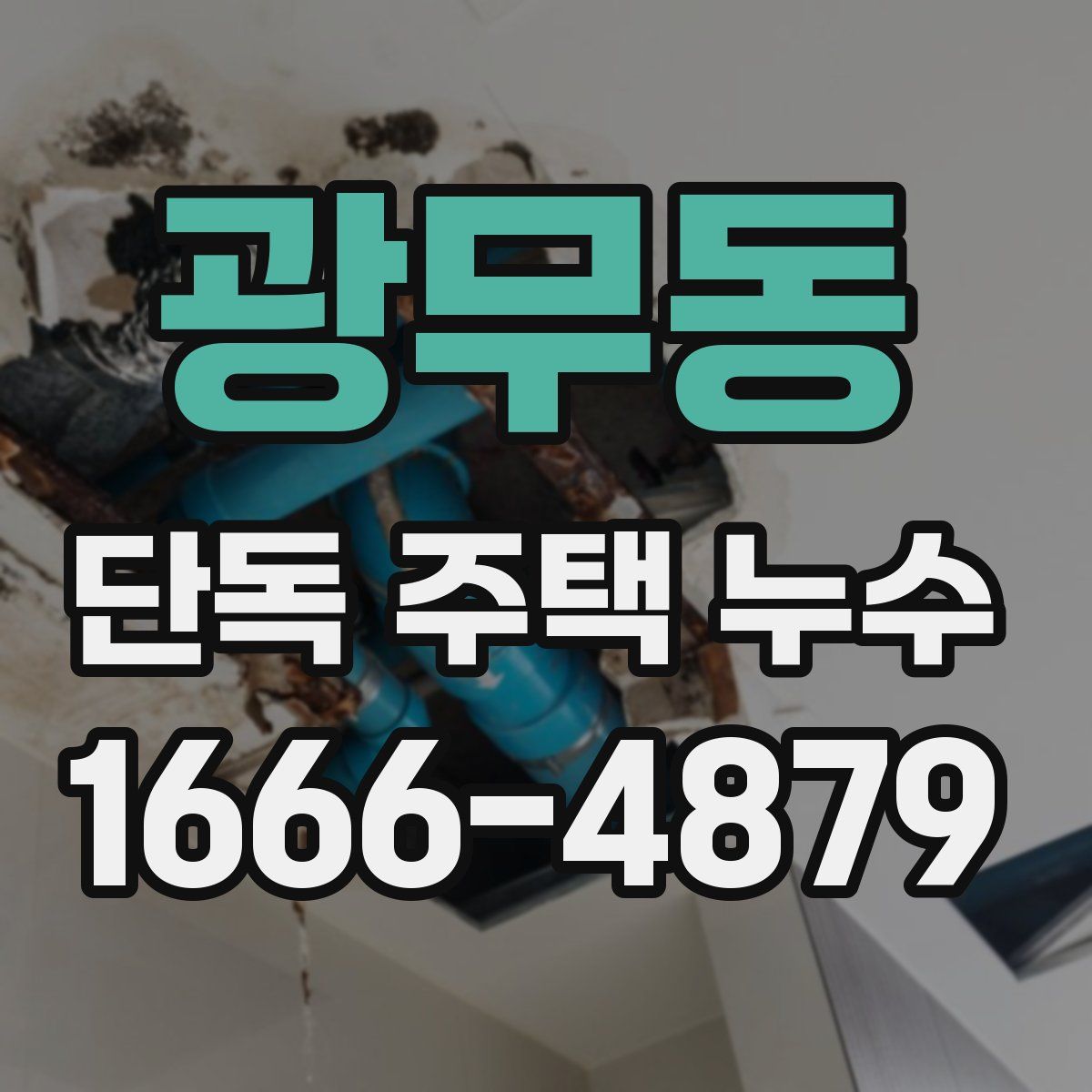 광무동 단독 주택 누수