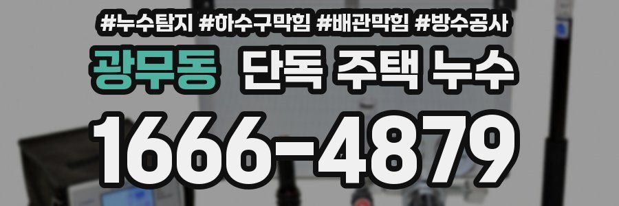 광무동 단독 주택 누수