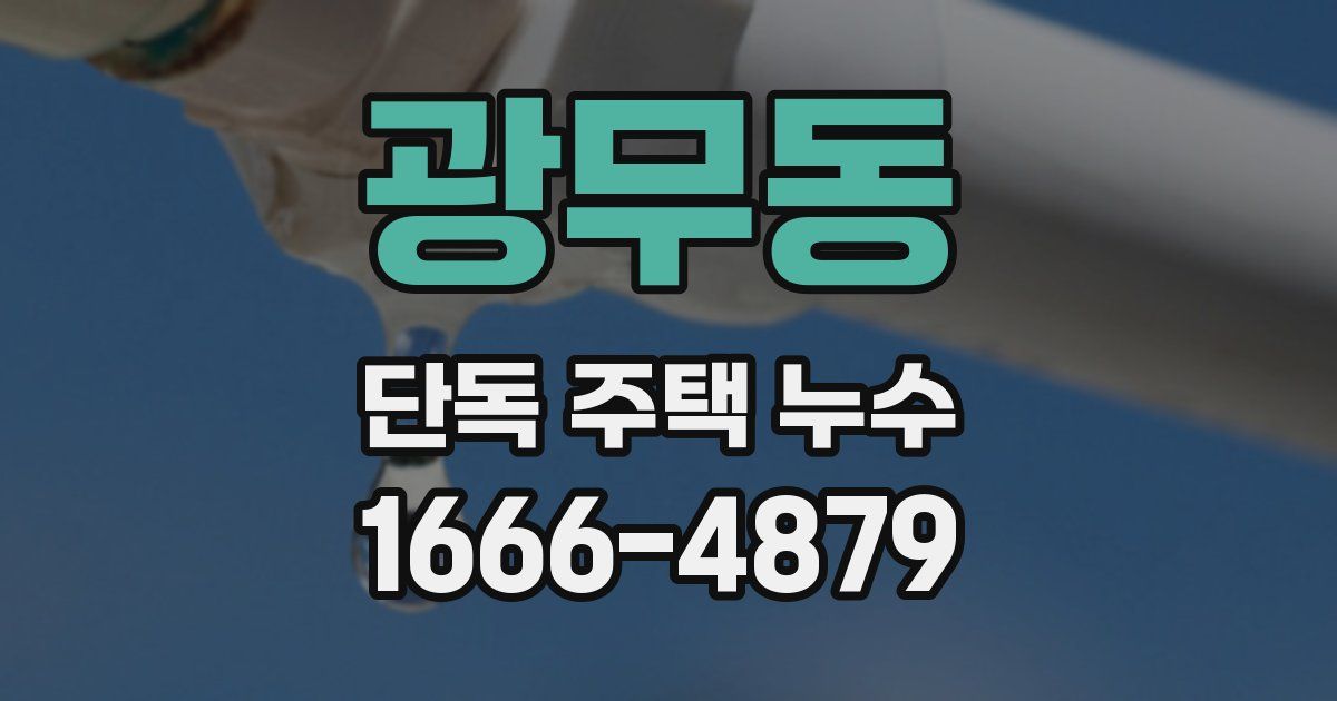 광무동 단독 주택 누수