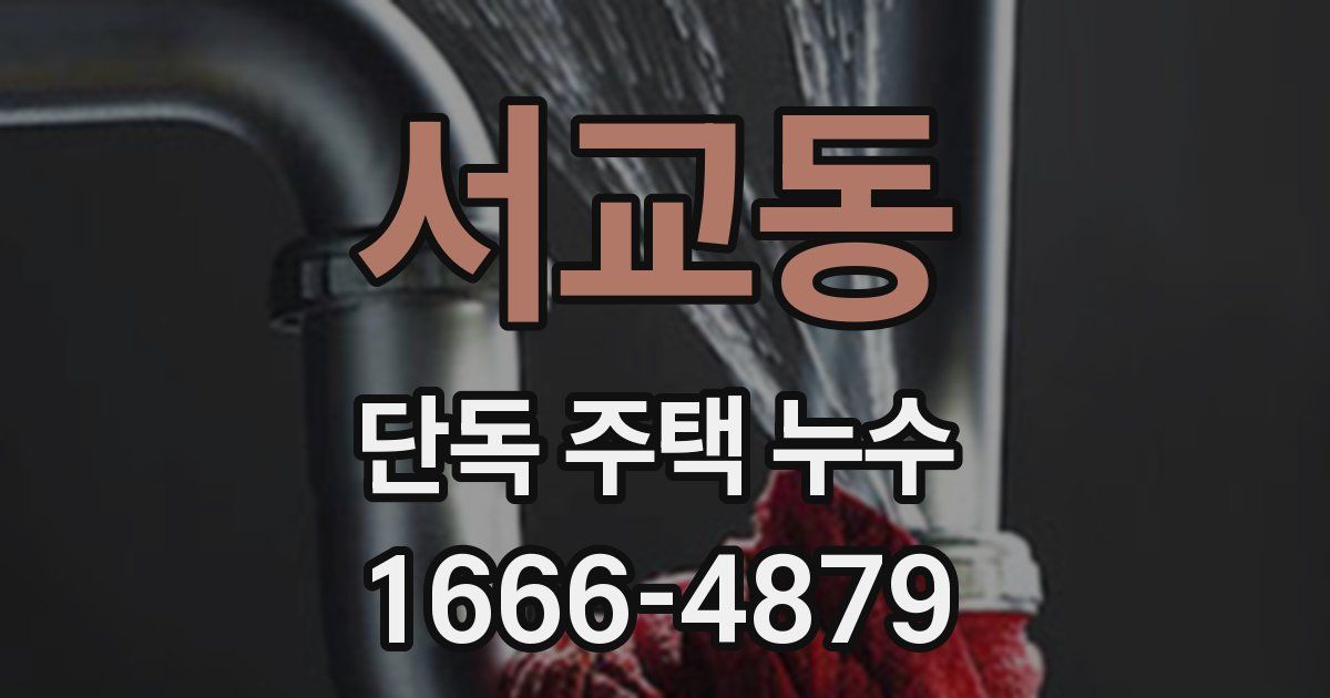 서교동 단독 주택 누수