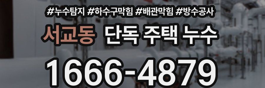 서교동 단독 주택 누수