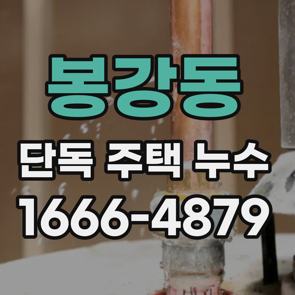 봉강동 단독 주택 누수