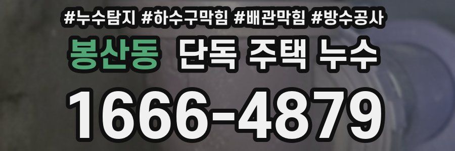 봉산동 단독 주택 누수
