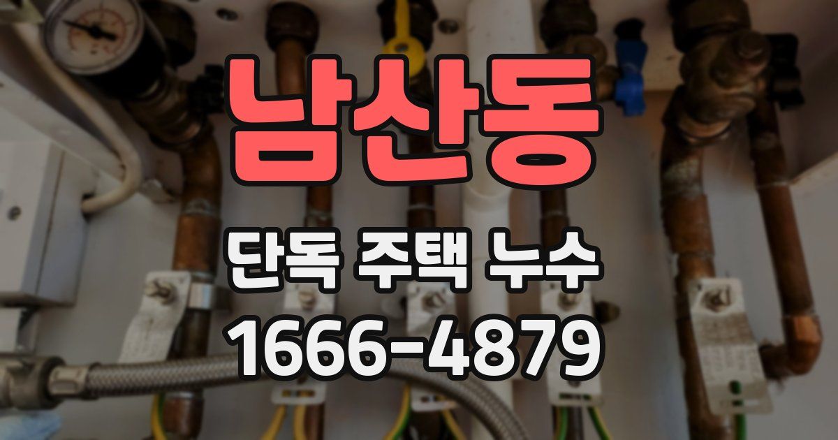 남산동 단독 주택 누수
