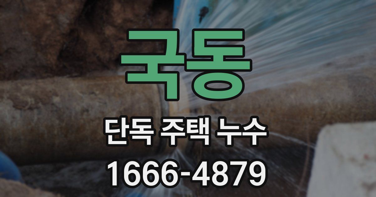 국동 단독 주택 누수