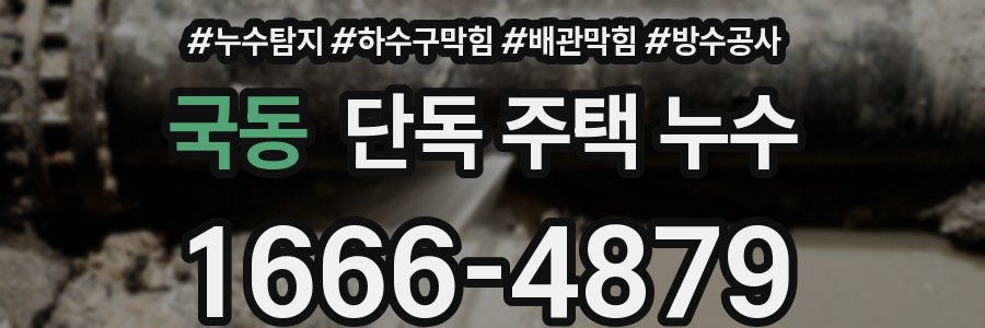 국동 단독 주택 누수