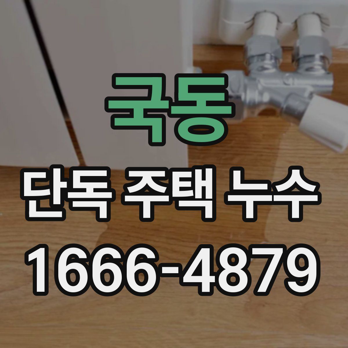 국동 단독 주택 누수
