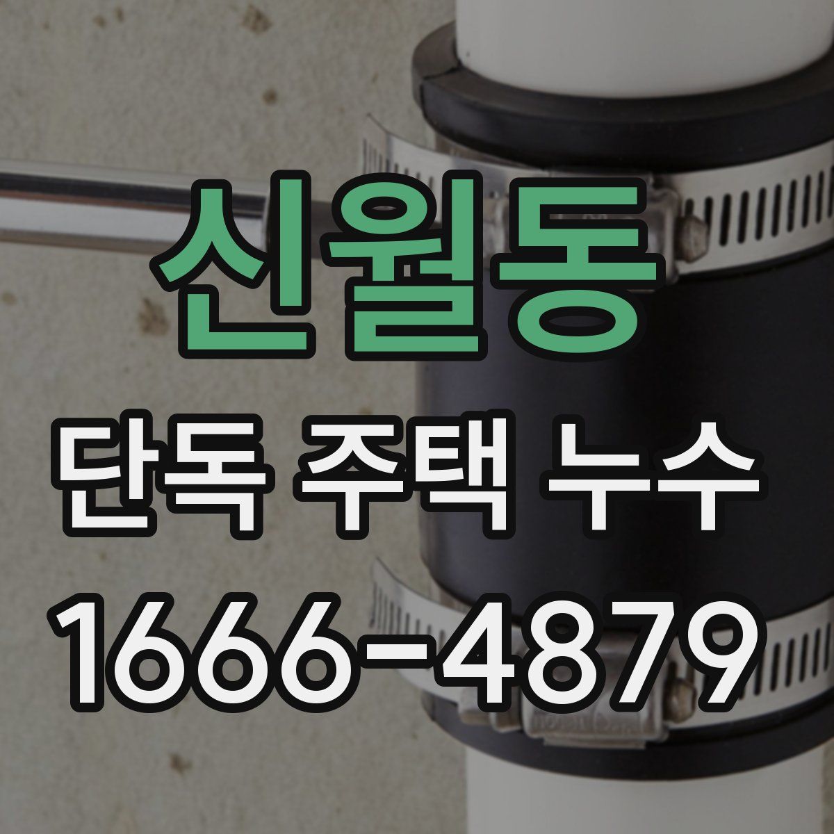 신월동 단독 주택 누수