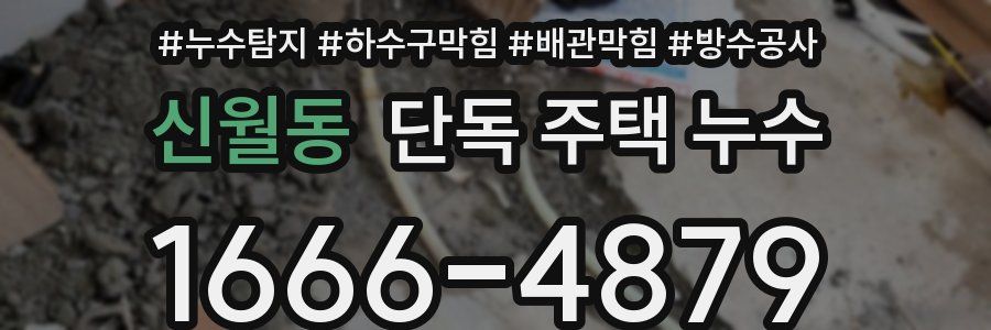 신월동 단독 주택 누수