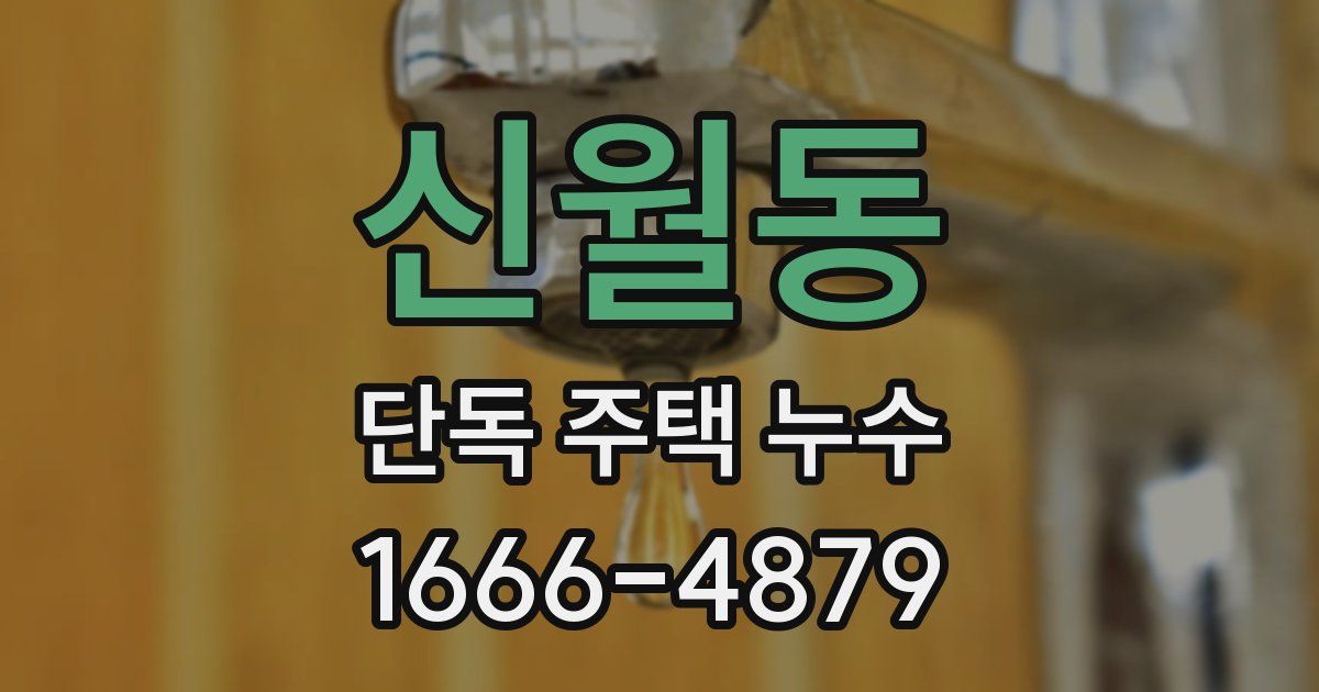 신월동 단독 주택 누수