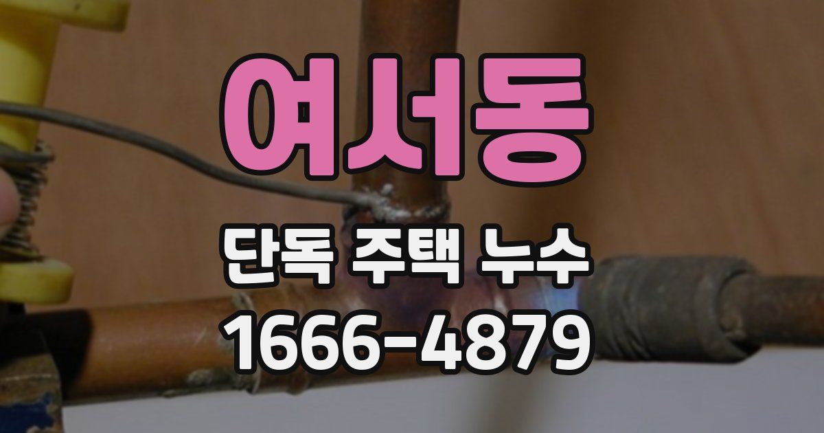 여서동 단독 주택 누수