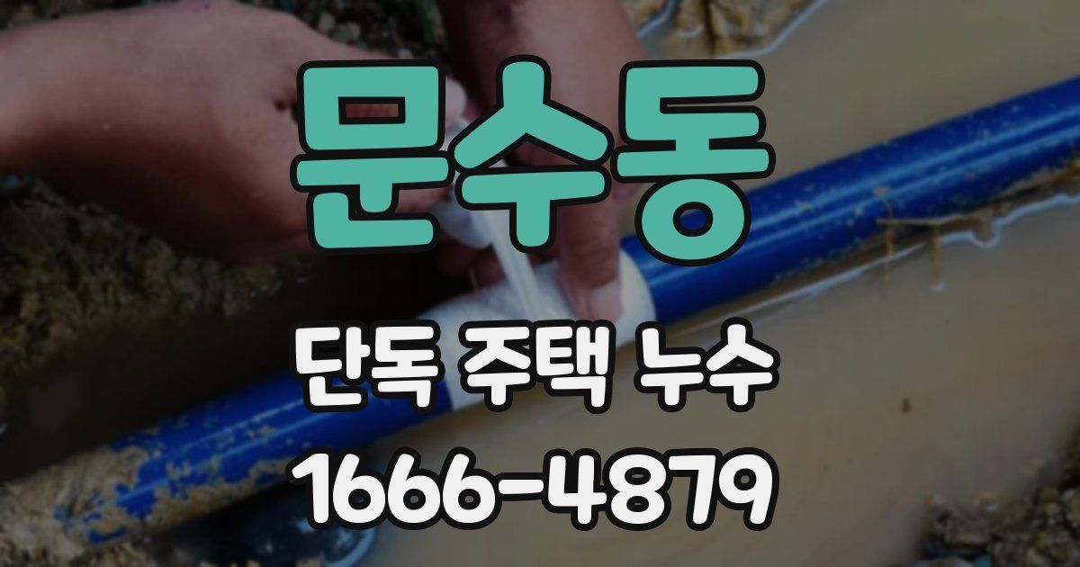 문수동 단독 주택 누수
