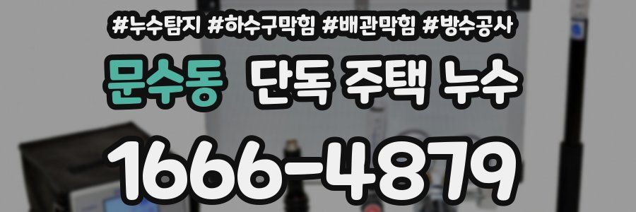 문수동 단독 주택 누수