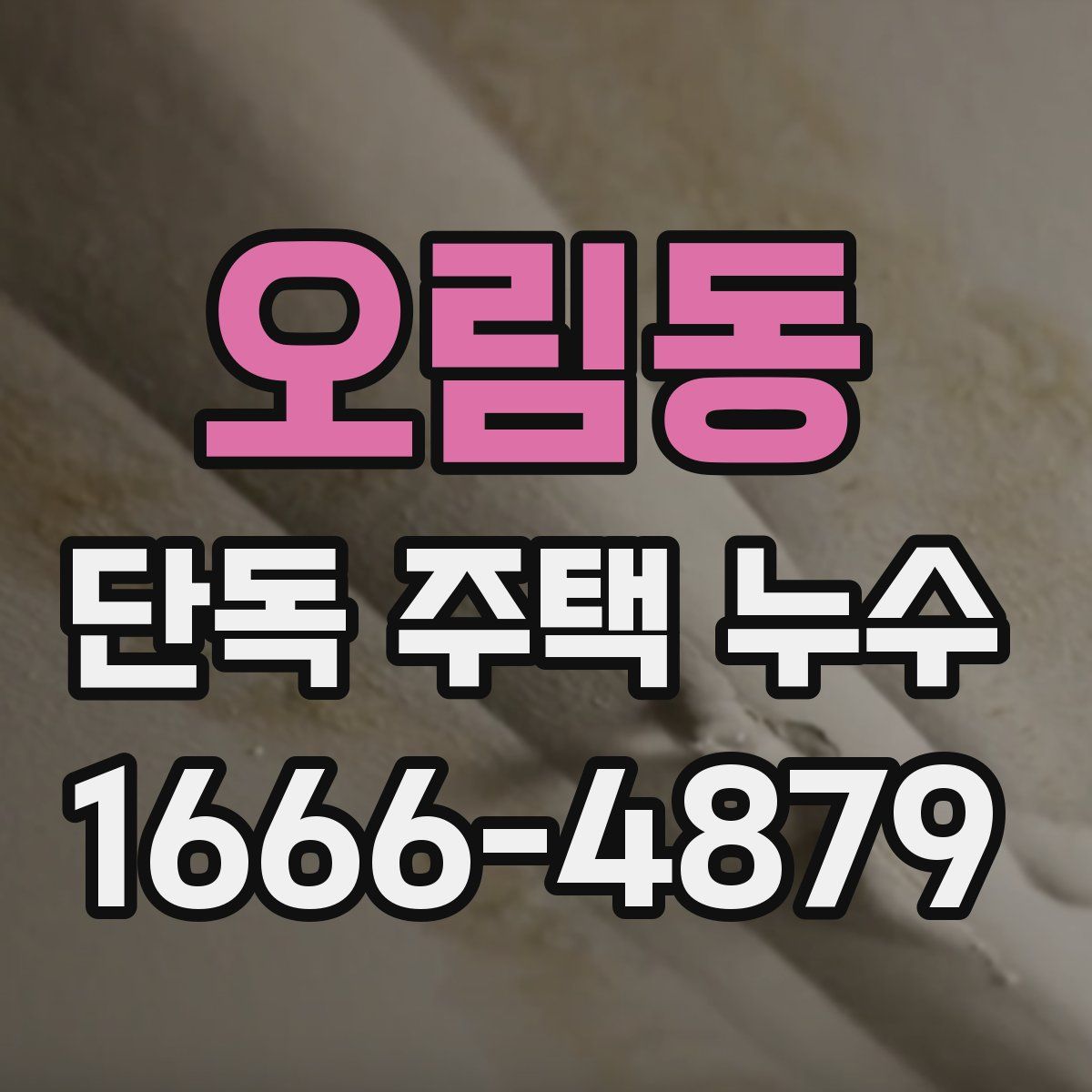 오림동 단독 주택 누수