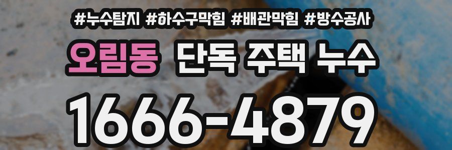 오림동 단독 주택 누수