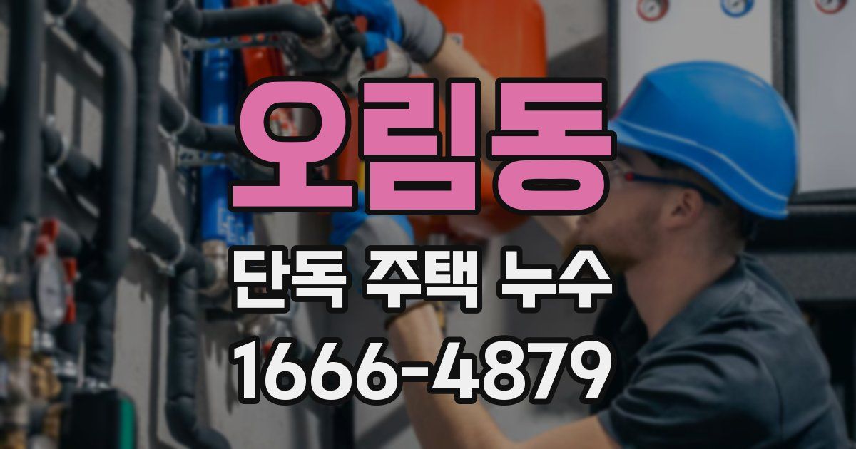 오림동 단독 주택 누수