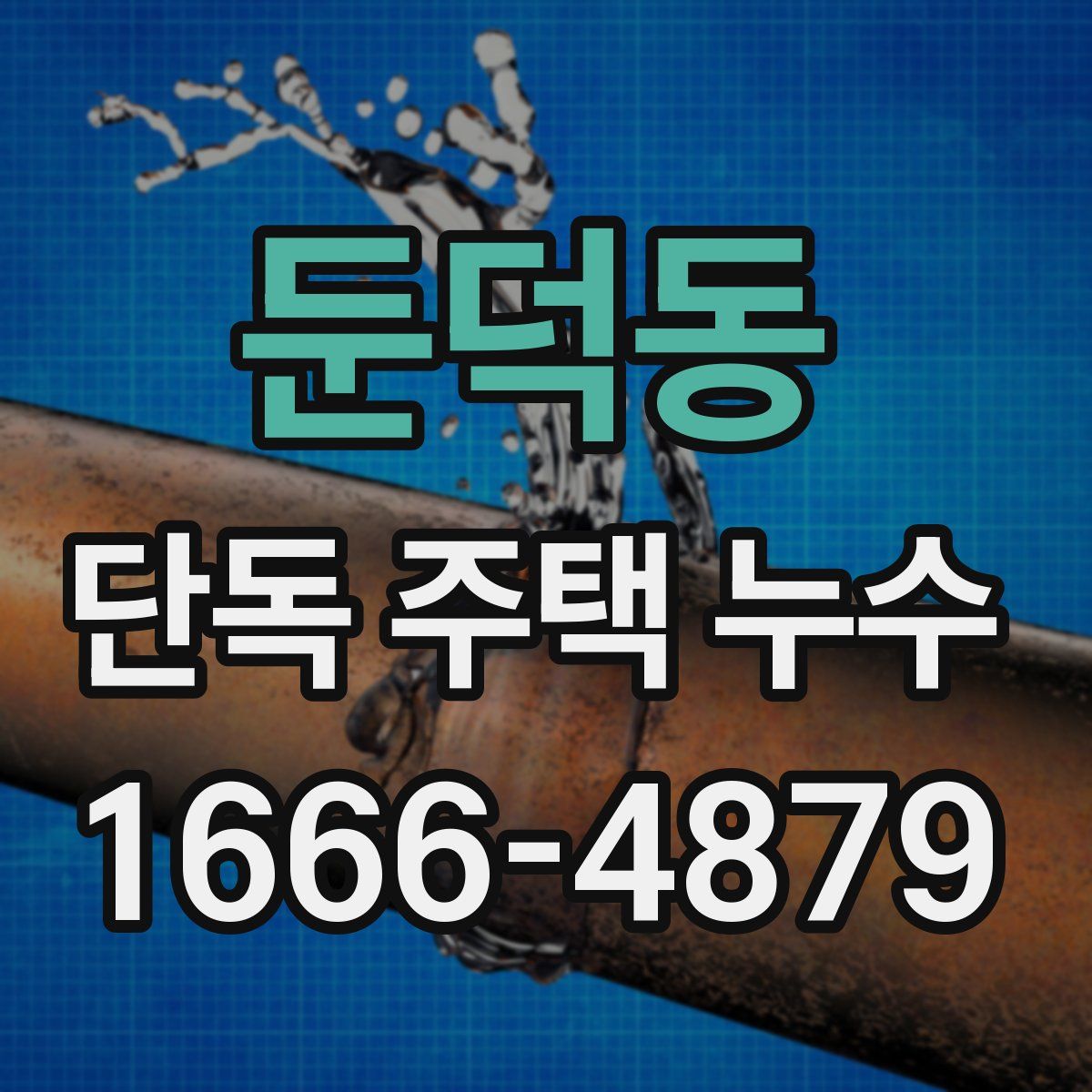 둔덕동 단독 주택 누수