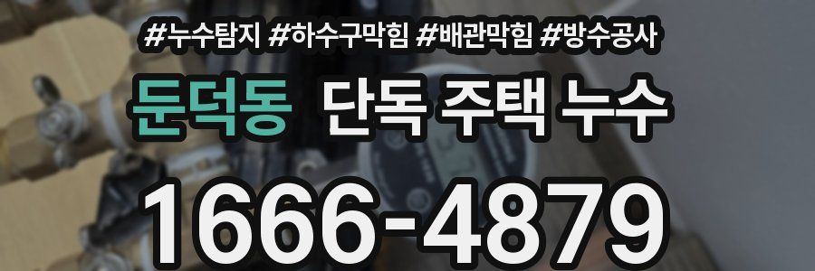 둔덕동 단독 주택 누수