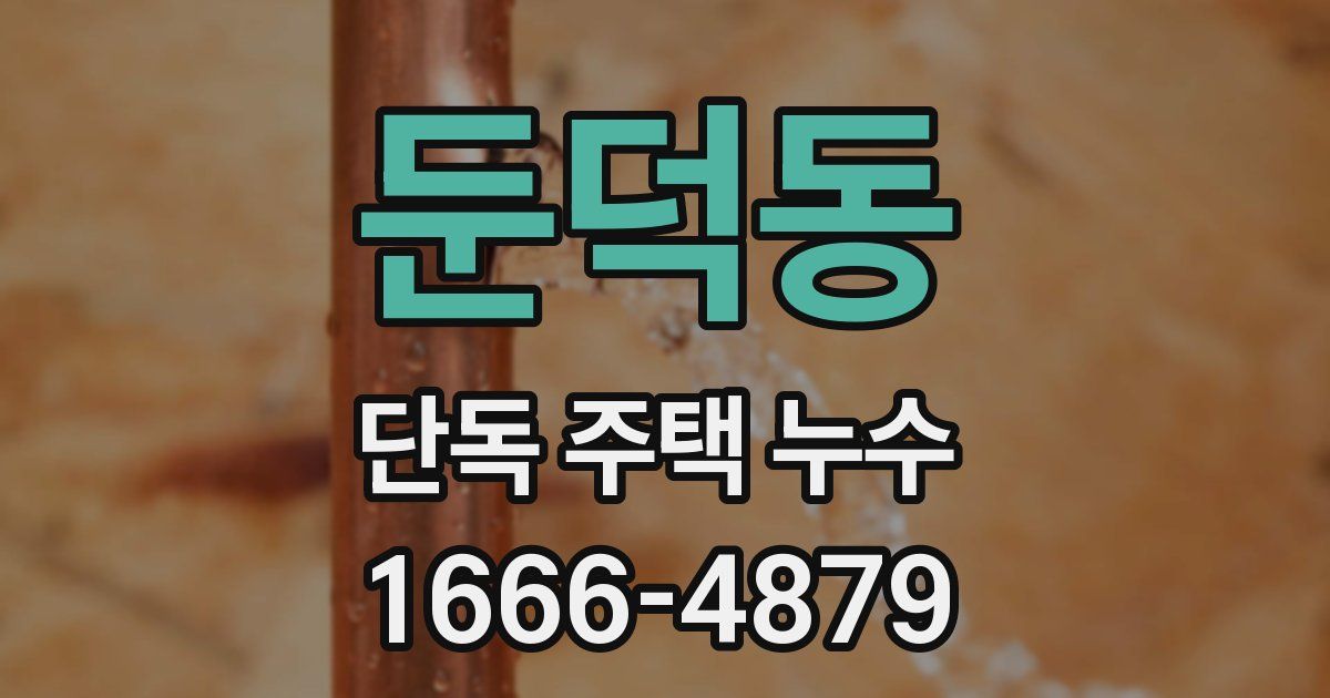 둔덕동 단독 주택 누수