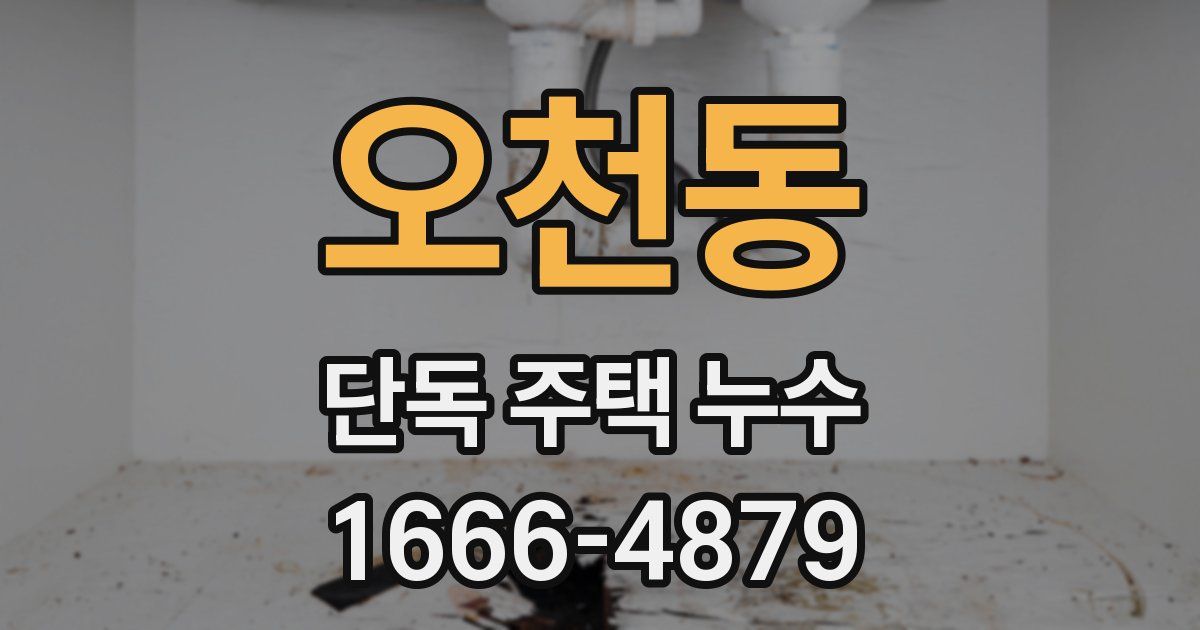 오천동 단독 주택 누수