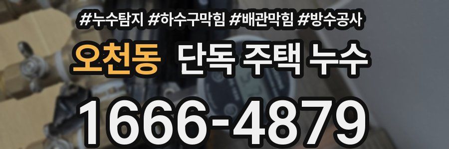 오천동 단독 주택 누수