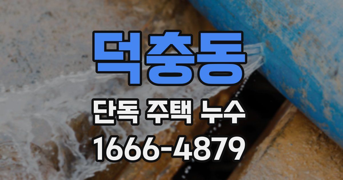 덕충동 단독 주택 누수