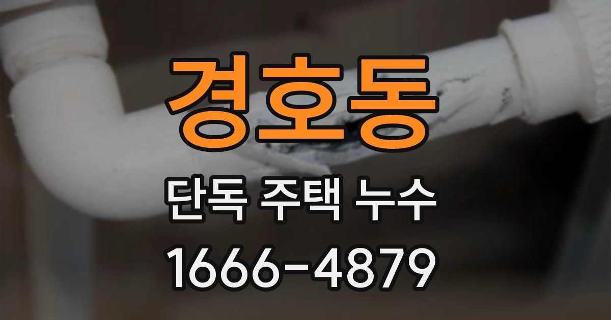 경호동 단독 주택 누수