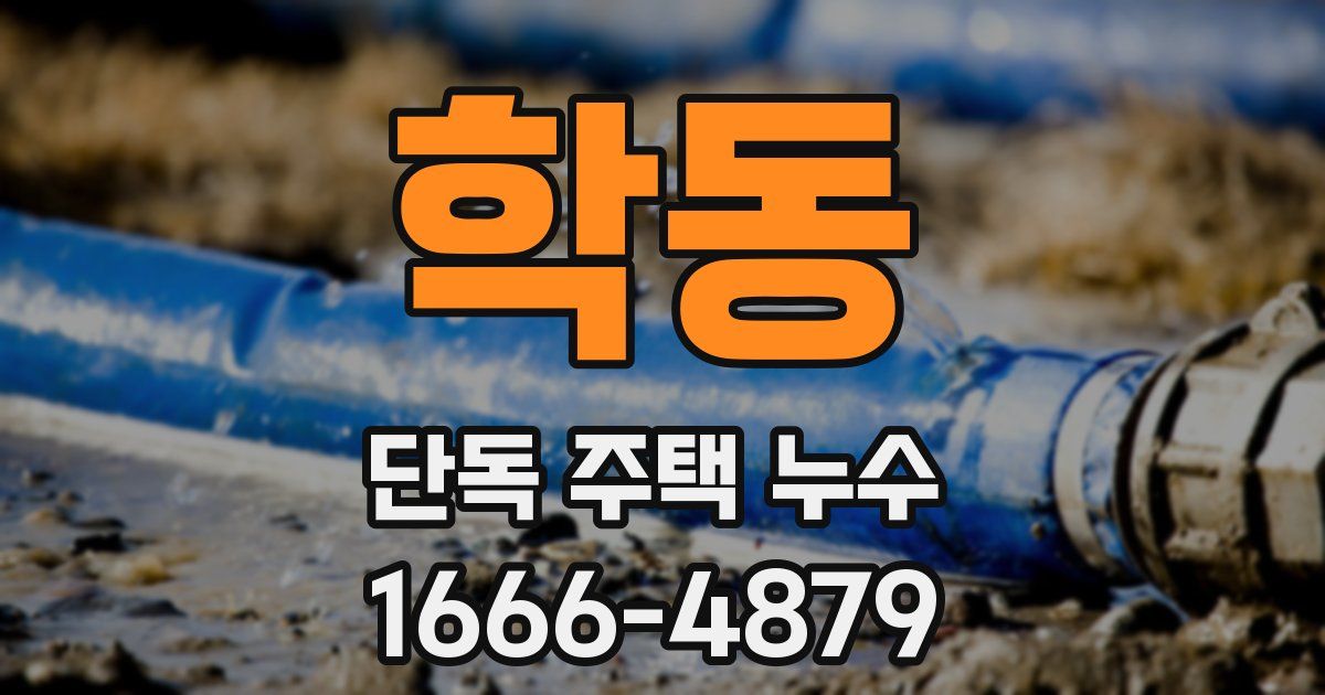 학동 단독 주택 누수