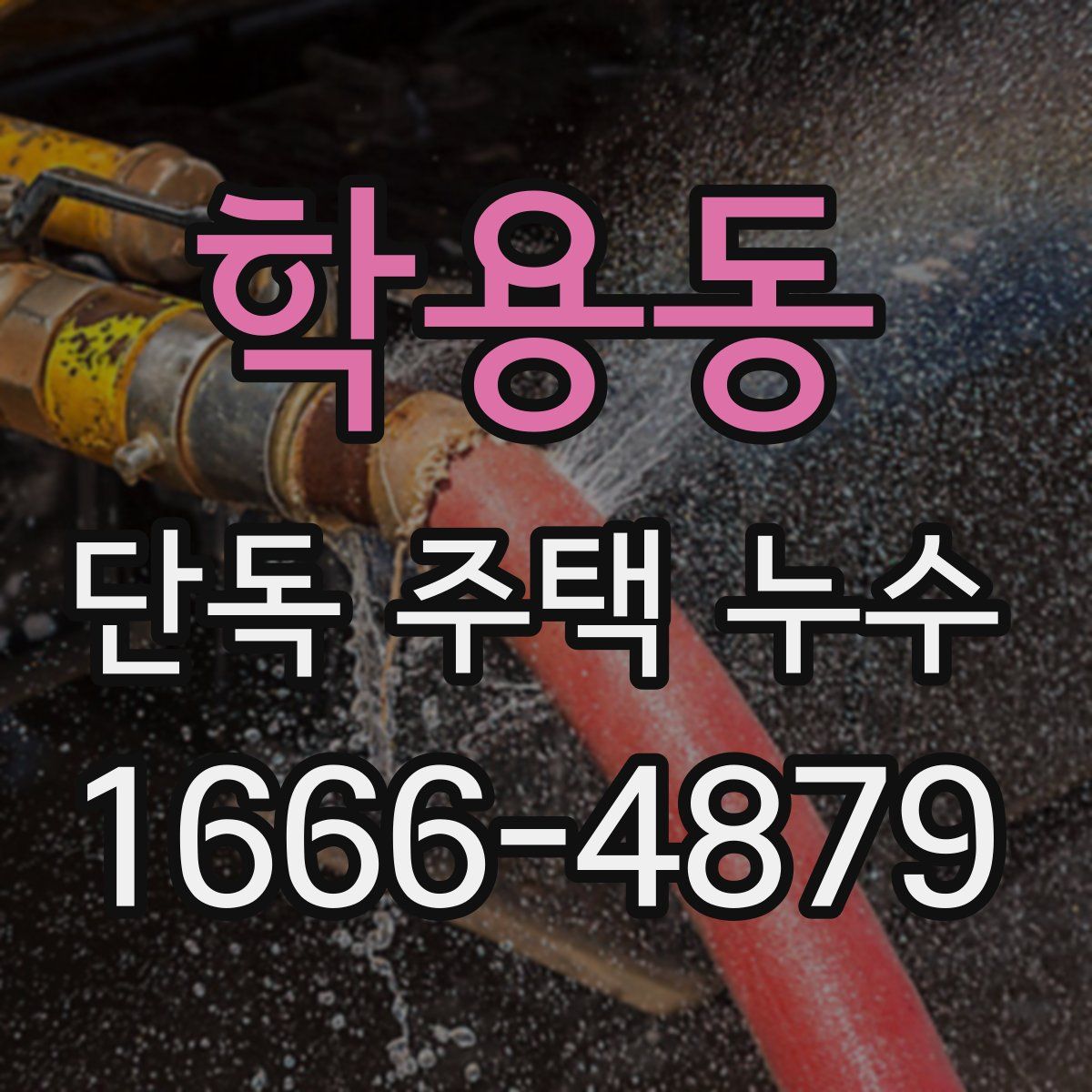 학용동 단독 주택 누수