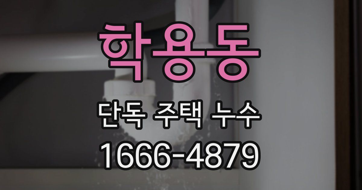 학용동 단독 주택 누수