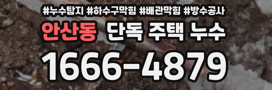 안산동 단독 주택 누수