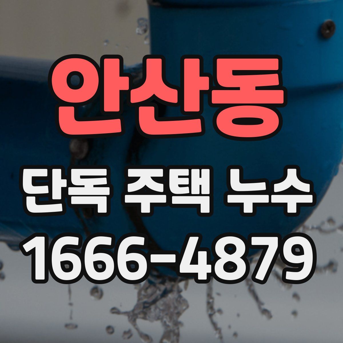안산동 단독 주택 누수