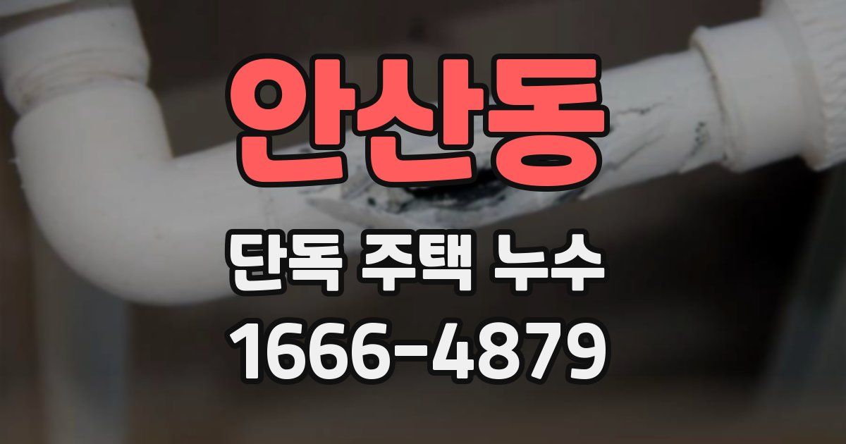 안산동 단독 주택 누수