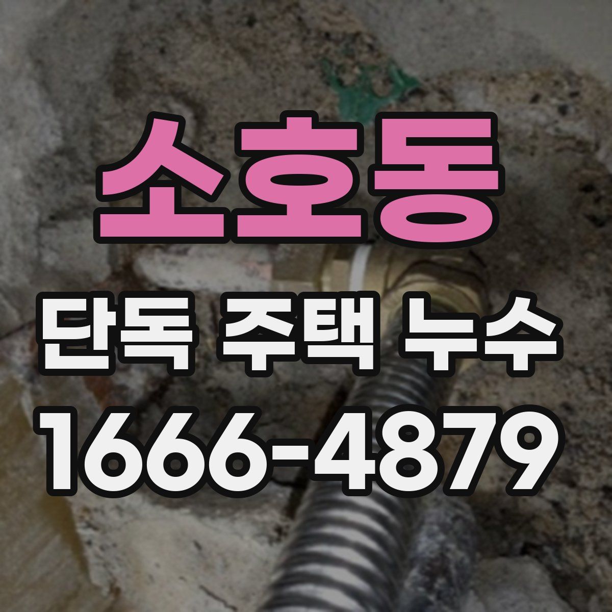 소호동 단독 주택 누수