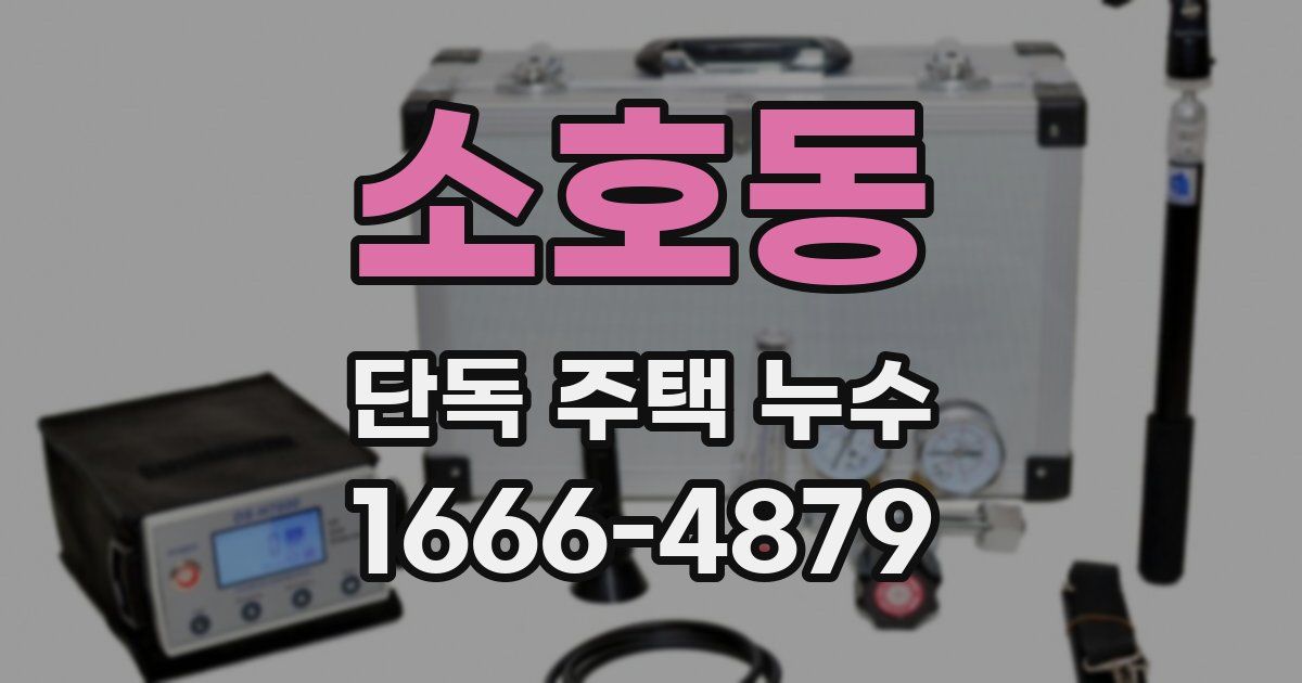 소호동 단독 주택 누수