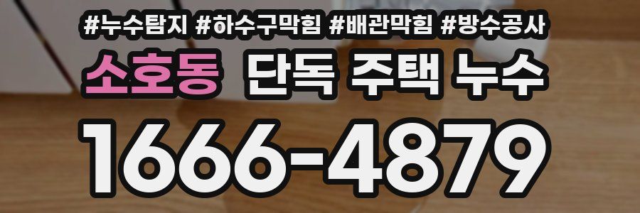 소호동 단독 주택 누수