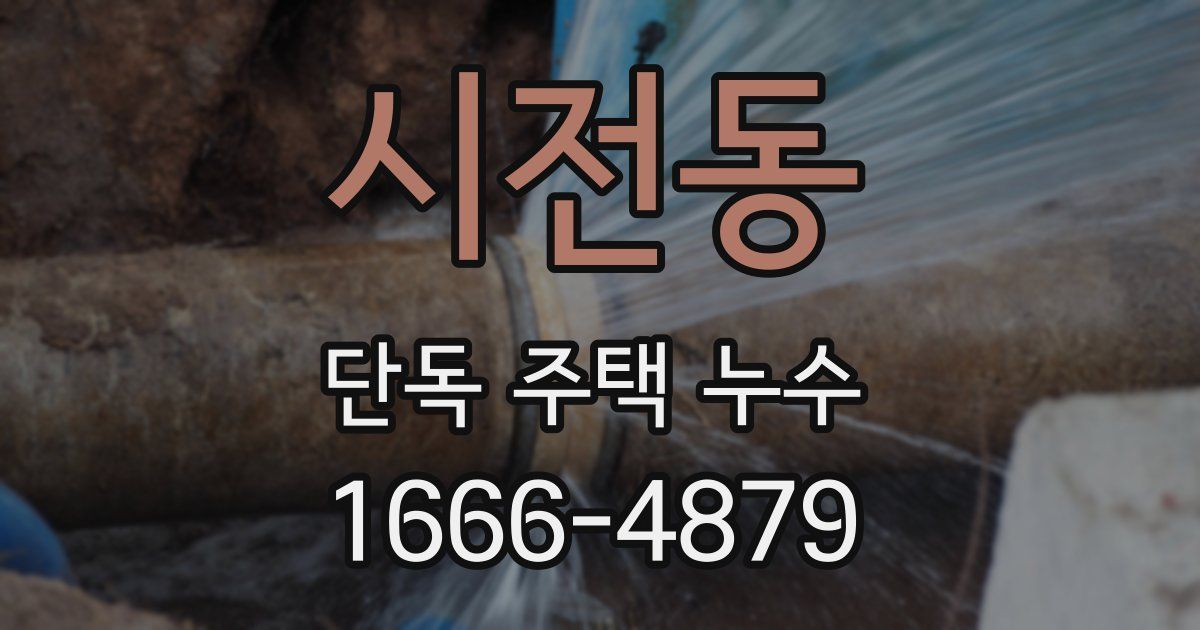 시전동 단독 주택 누수