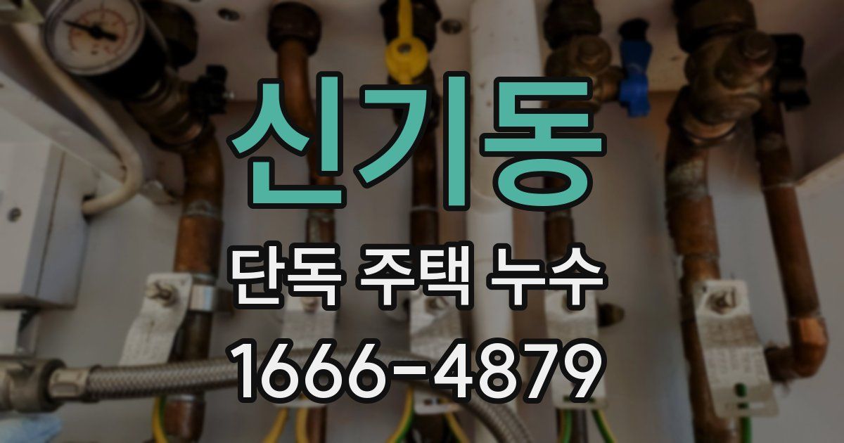 신기동 단독 주택 누수