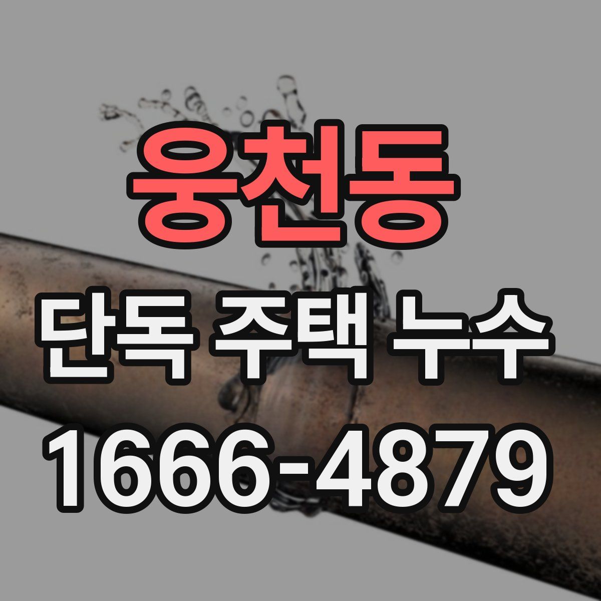 웅천동 단독 주택 누수