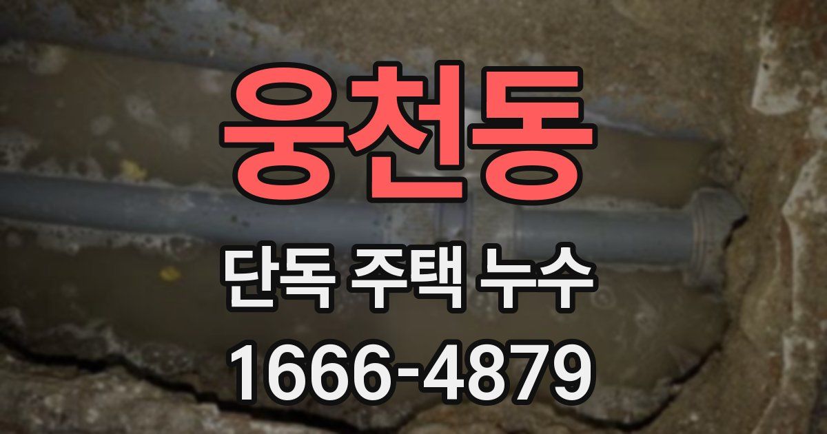 웅천동 단독 주택 누수