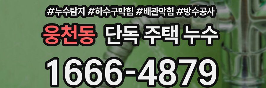 웅천동 단독 주택 누수