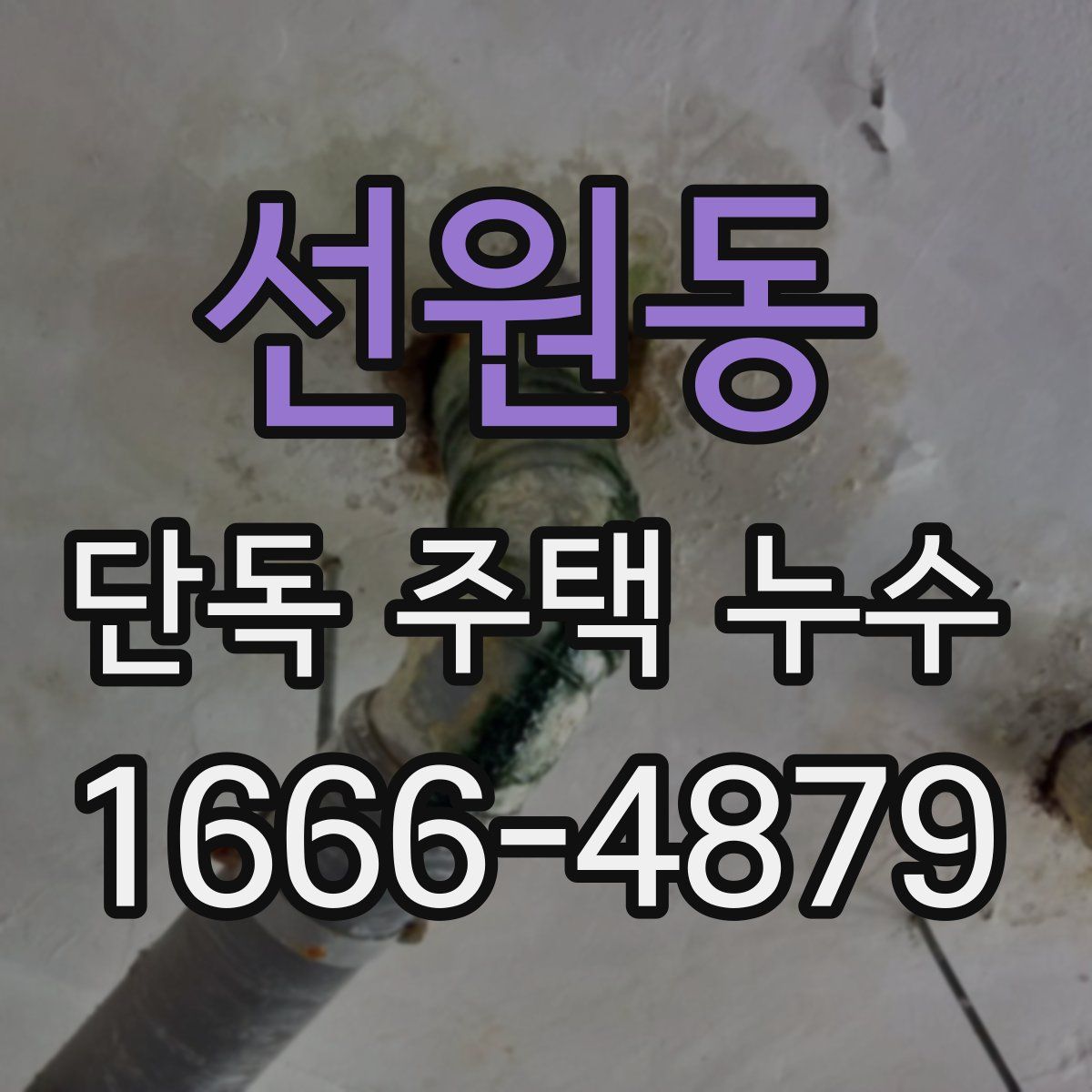 선원동 단독 주택 누수