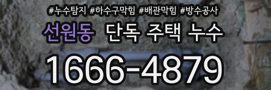 선원동 단독 주택 누수