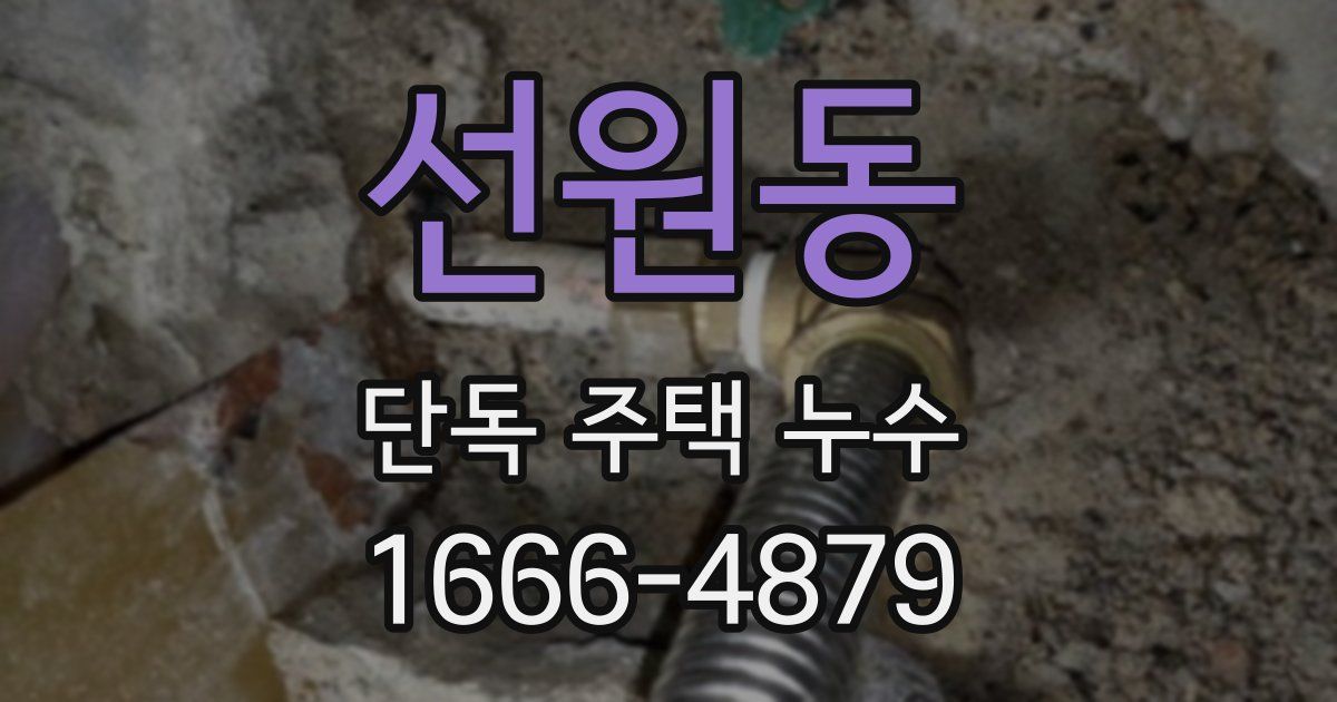 선원동 단독 주택 누수