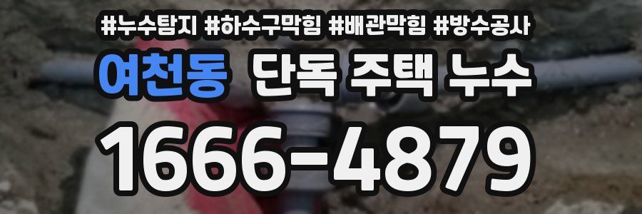 여천동 단독 주택 누수