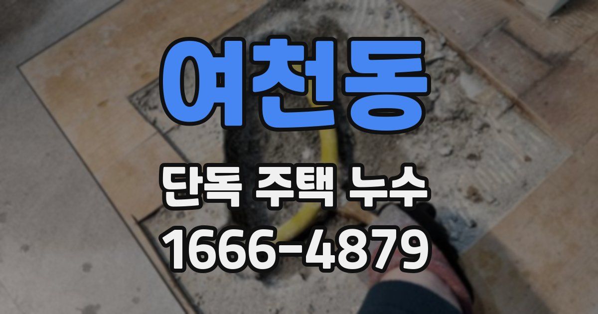 여천동 단독 주택 누수