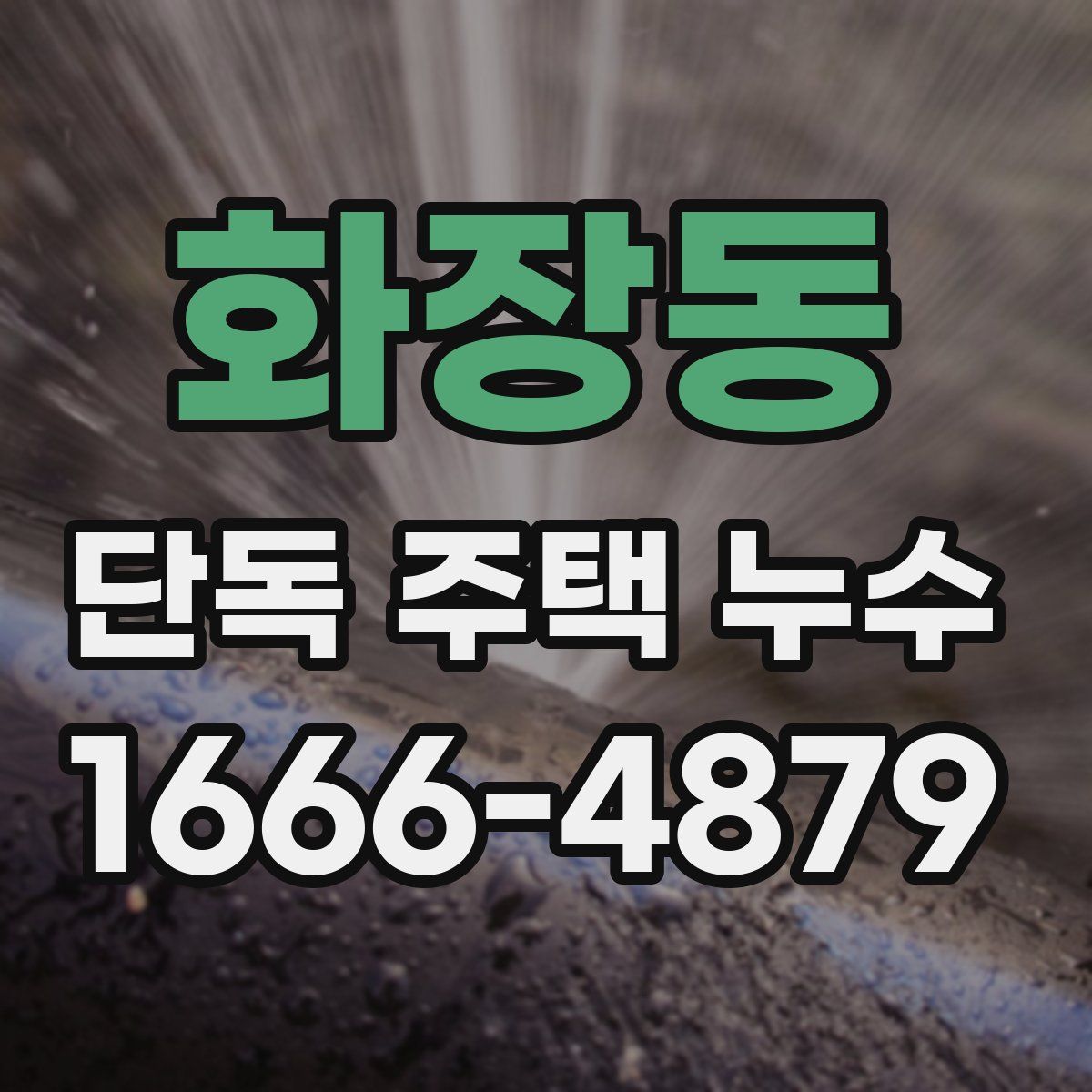 화장동 단독 주택 누수